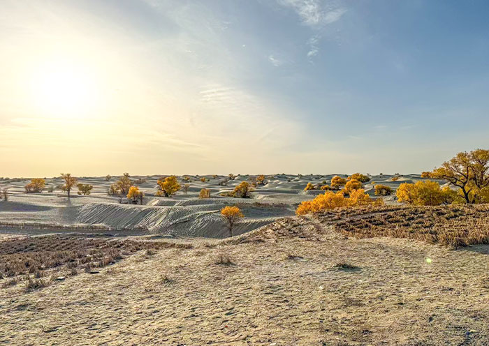 desert-highway4