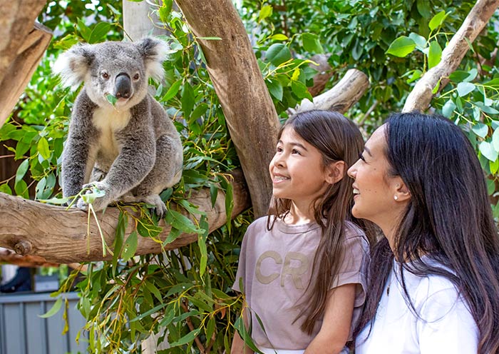 sydney-zoo1