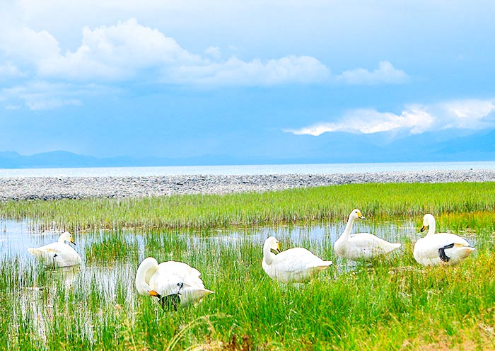 sayram-lake1