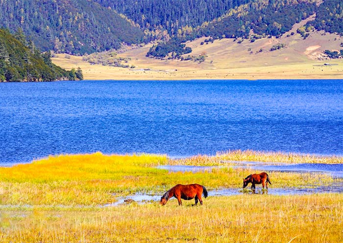 shangri-la-pudacuo-national-park1