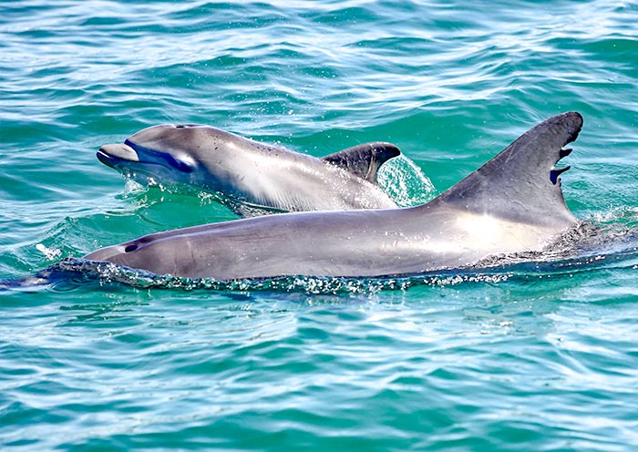 port-stephens-bay2