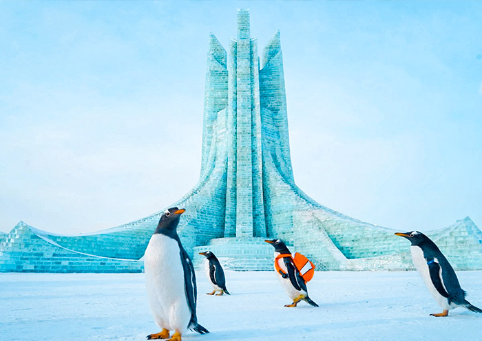 harbin-polarland1